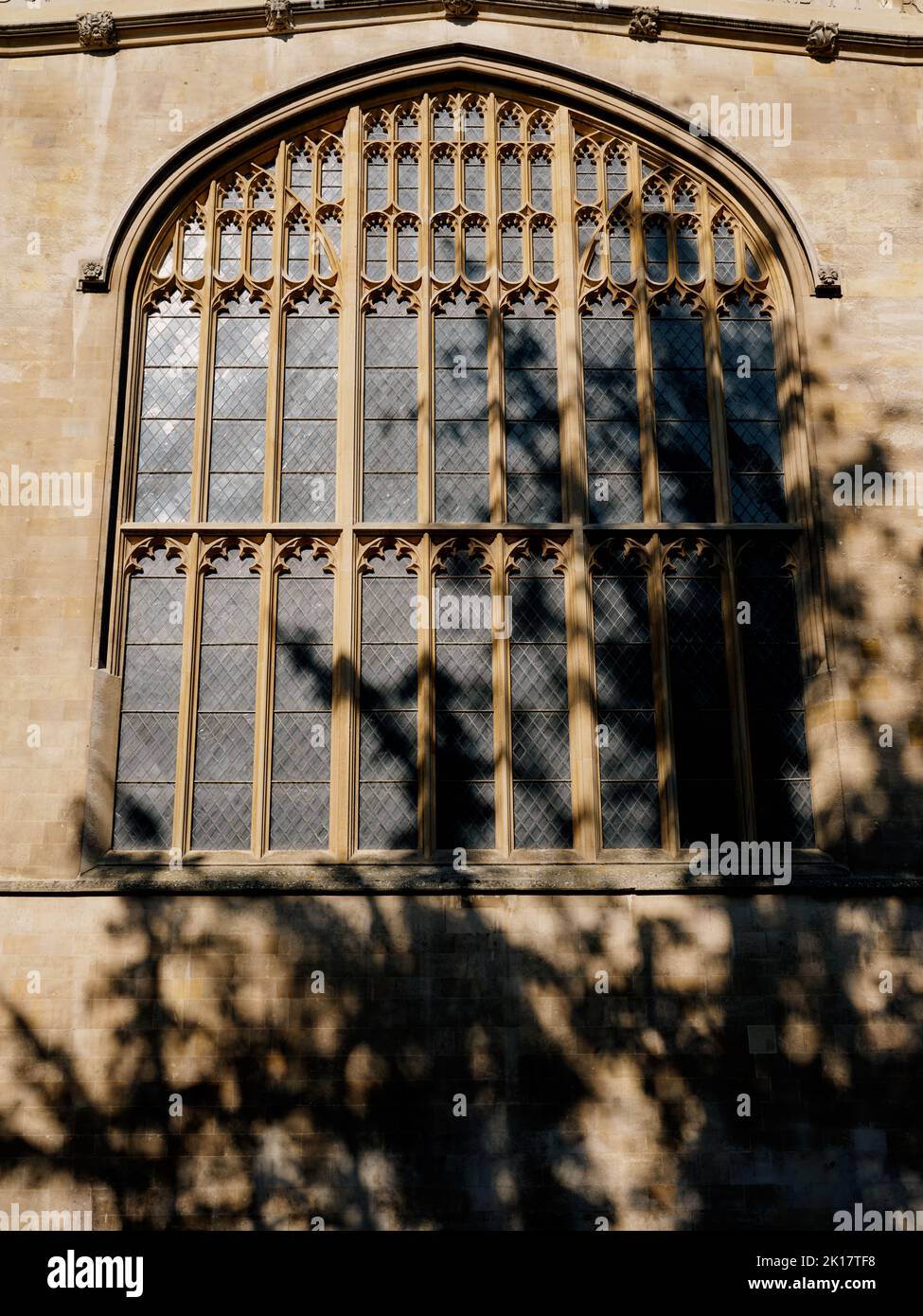 Trinity College Chapel, Universidad de Cambridge en Cambridge Cambridgeshire Inglaterra Reino Unido - detalle de arquitectura Foto de stock