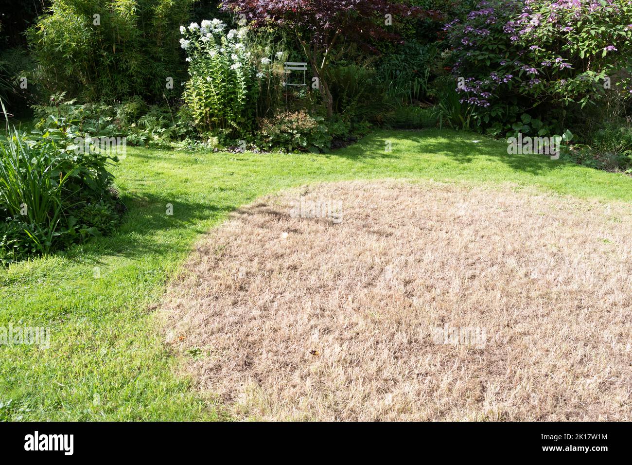 Mini jardín de la fauna pradera de hierba larga - área marrón Después de la hierba larga se ha cortado, cortado y quitado en verano tardío - Escocia, Reino Unido Foto de stock