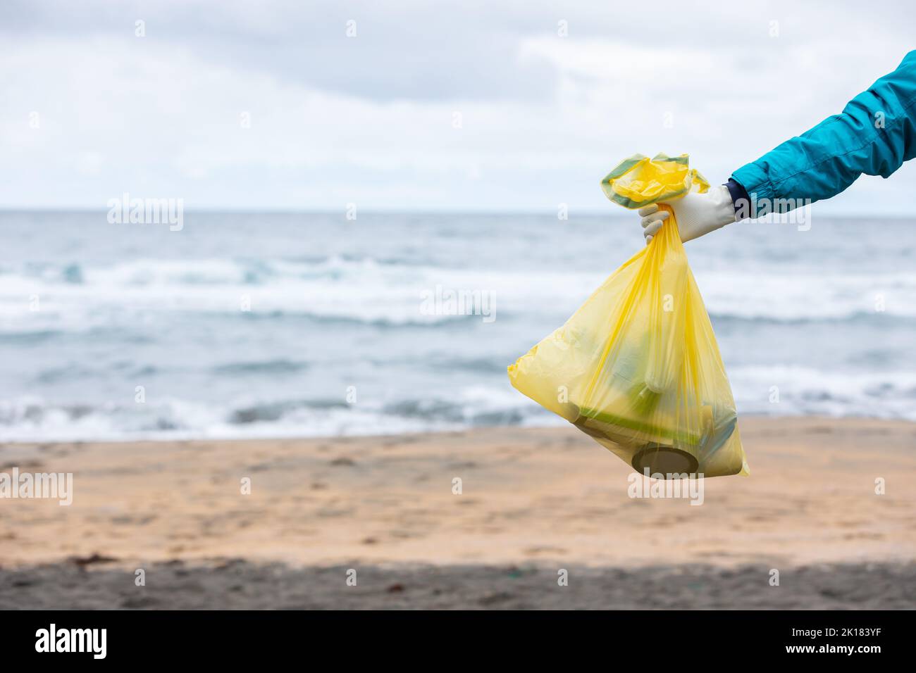 Activista de Crop, irreconocible, mostrando una bolsa con la basura recogida en la orilla del mar Foto de stock
