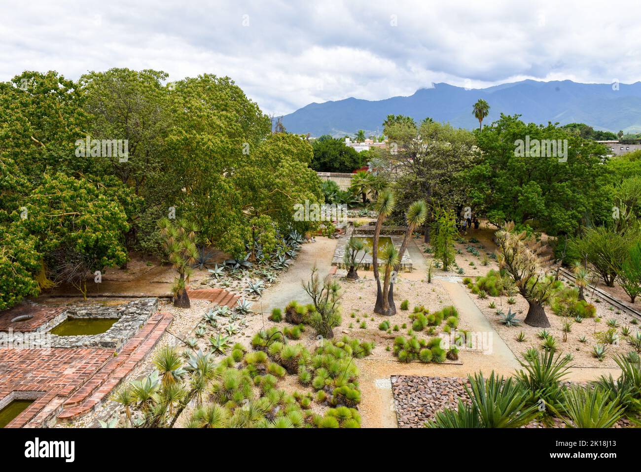 El Jardín Etnobotánico de Oaxaca (adyacente a la Iglesia de Santo Domingo) tiene cientos de especies de plantas, todas nativas del estado de Oaxaca. Oaxaca de Juárez, México. Foto de stock