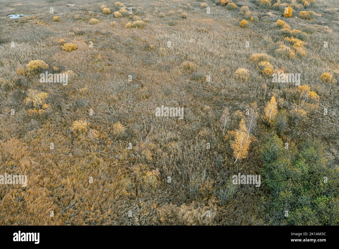 vista aérea del paisaje de humedales en colores otoñales. fondo natural. Foto de stock