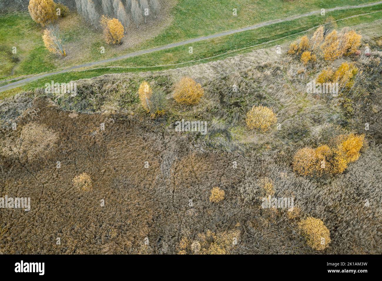paisaje otoñal con sendero a lo largo de la zona pantanosa. fotografía de aviones no tripulados. Foto de stock