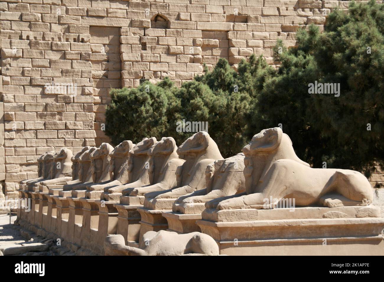 Estatuas esfinge con cabeza de carnero en el templo de Karnak, Luxor, Egipto Foto de stock