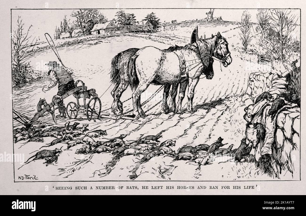 Granjero perturbando una travesura de ratas mientras que araba un campo, Victoriano Foto de stock