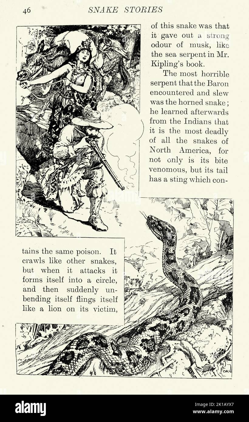 Ilustración vintage, cazador disparando una serpiente, historia de aventura victoriana Foto de stock