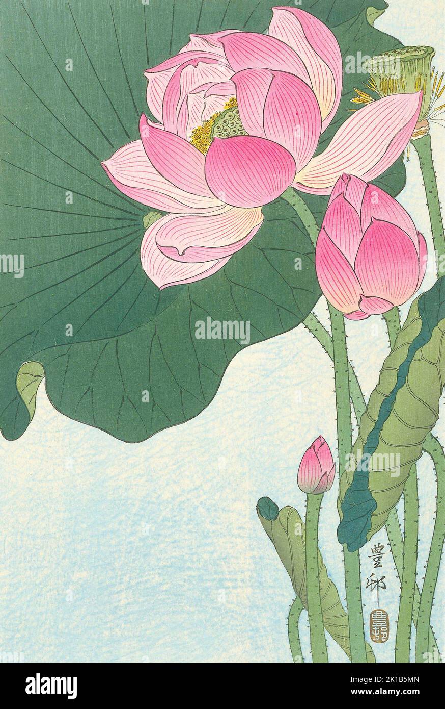 Ohara Koson - Flores de loto en flor Foto de stock