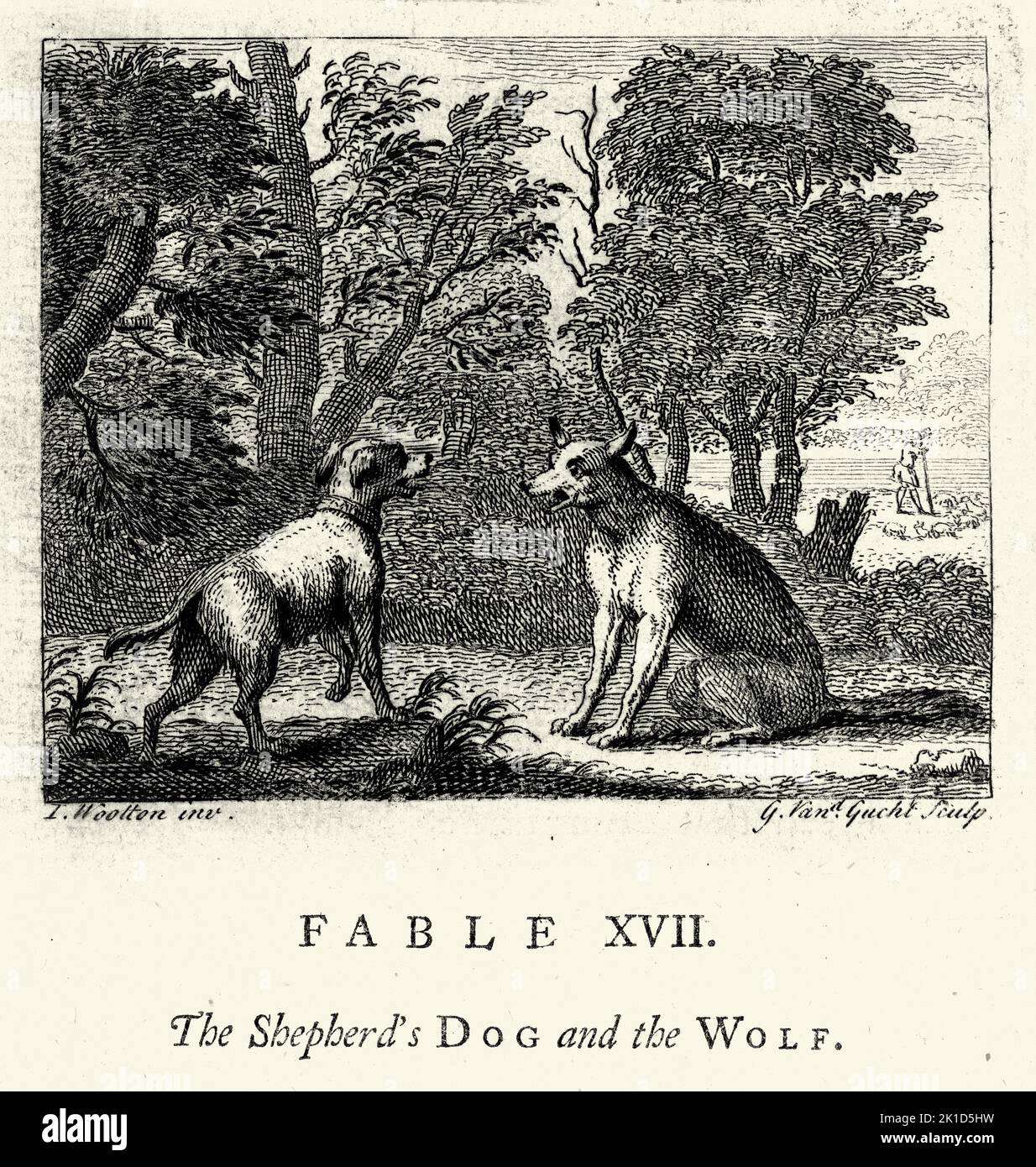 Vintage grabado El perro del pastor y el lobo, de las fábulas de John Gay siglo 18th Foto de stock
