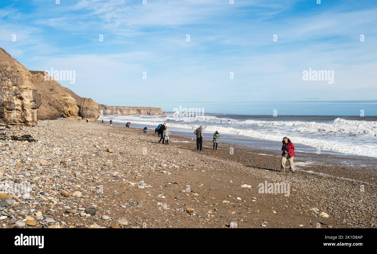 Gente recogiendo vidrio marino en la playa de Seaham, Co. Durham Inglaterra Reino Unido Foto de stock