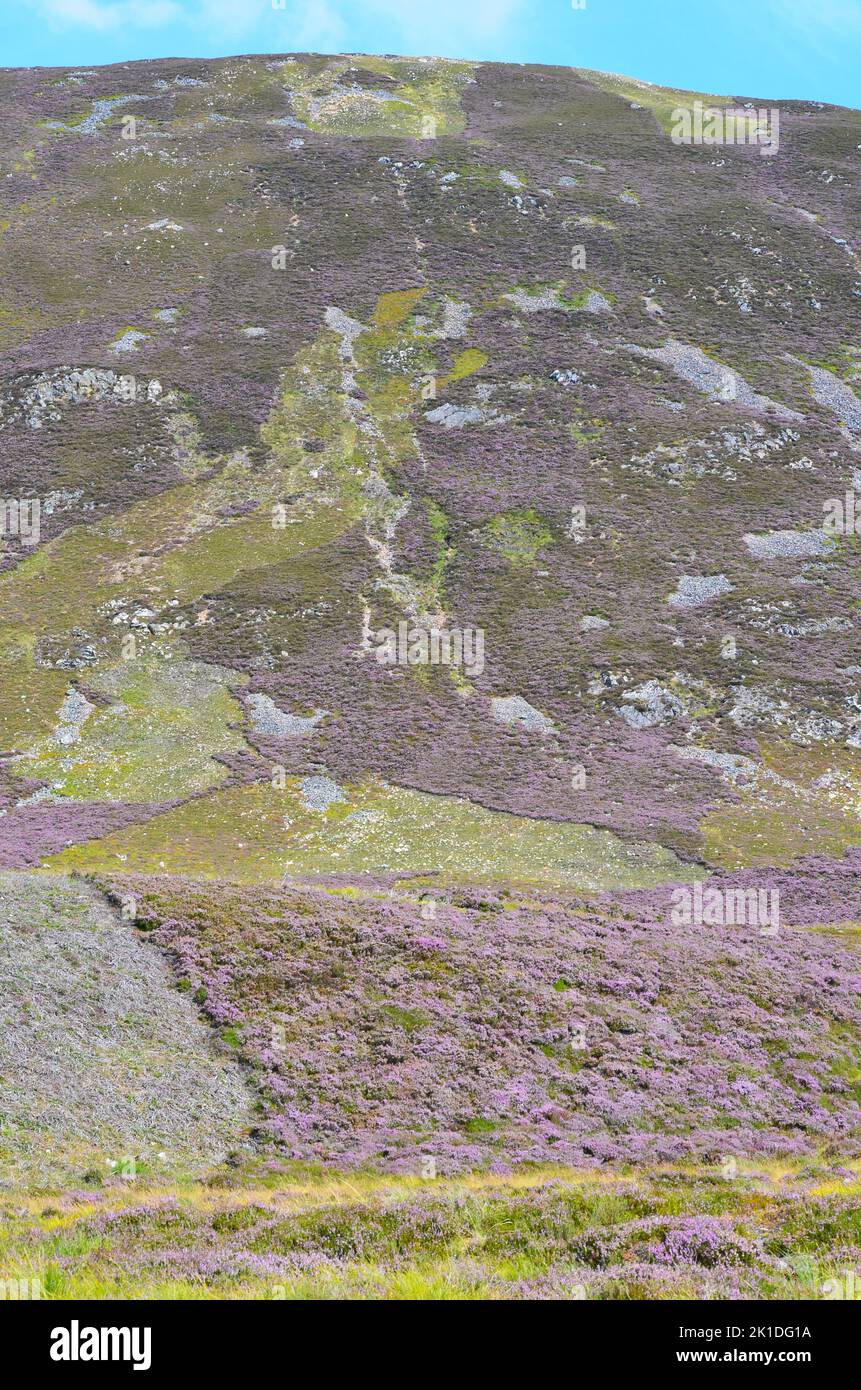 Glen Callater, un sitio de especial interés científico dentro del parque nacional Cairngorms, Escocia Foto de stock