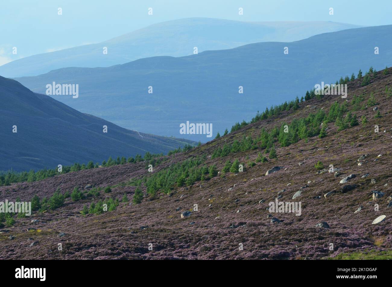 Glen Callater, un sitio de especial interés científico dentro del parque nacional Cairngorms, Escocia Foto de stock