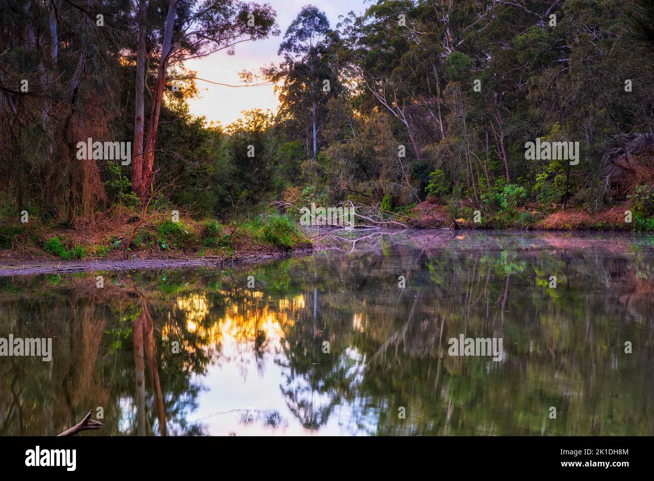 Sumérjase en las aguas del río Lane Cove en el Parque Nacional de Sídney, Australia, amanecer en el paisaje natural. Foto de stock
