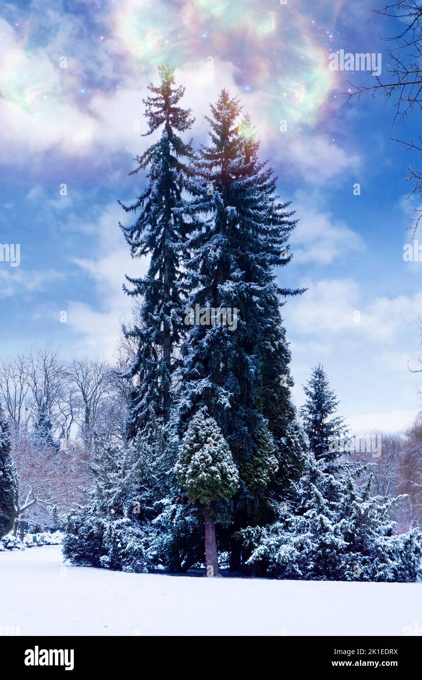 hermoso paisaje invernal con nieve, árboles y cielo nublado Foto de stock