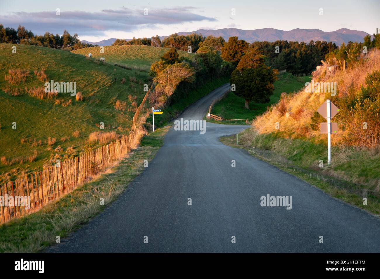 Carretera rural cerca de Ashurst, Manawatu, Isla del Norte, Nueva Zelanda Foto de stock