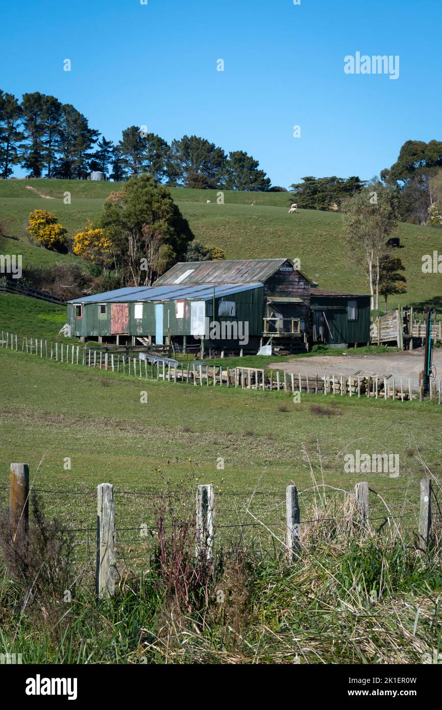 Granero, Valle Pohangina, Manawatu, Isla Norte, Nueva Zelanda Foto de stock