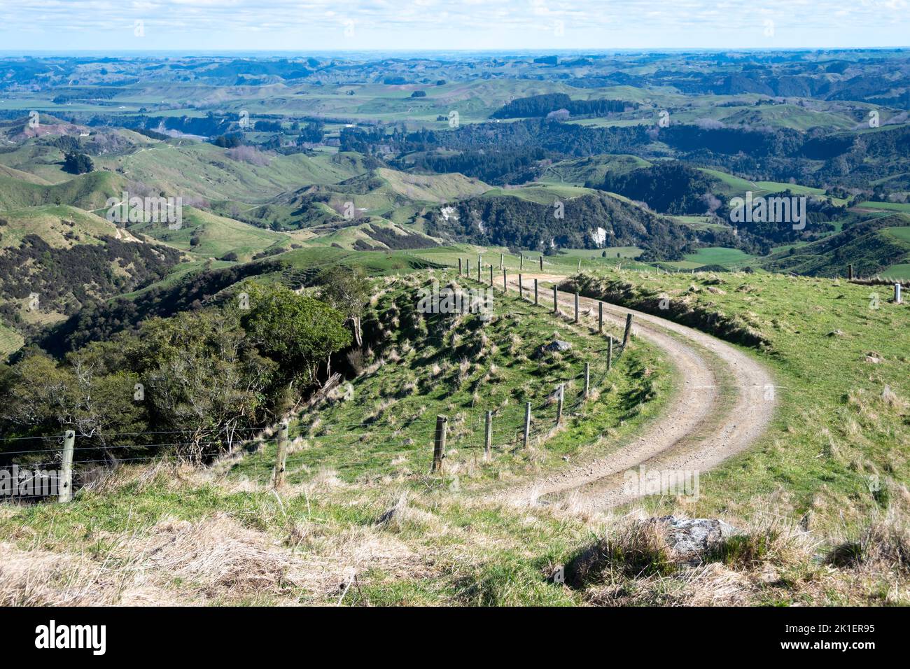 Granja pista en colinas, Pohangina Valley, Manawatu, Isla Norte, Nueva Zelanda Foto de stock