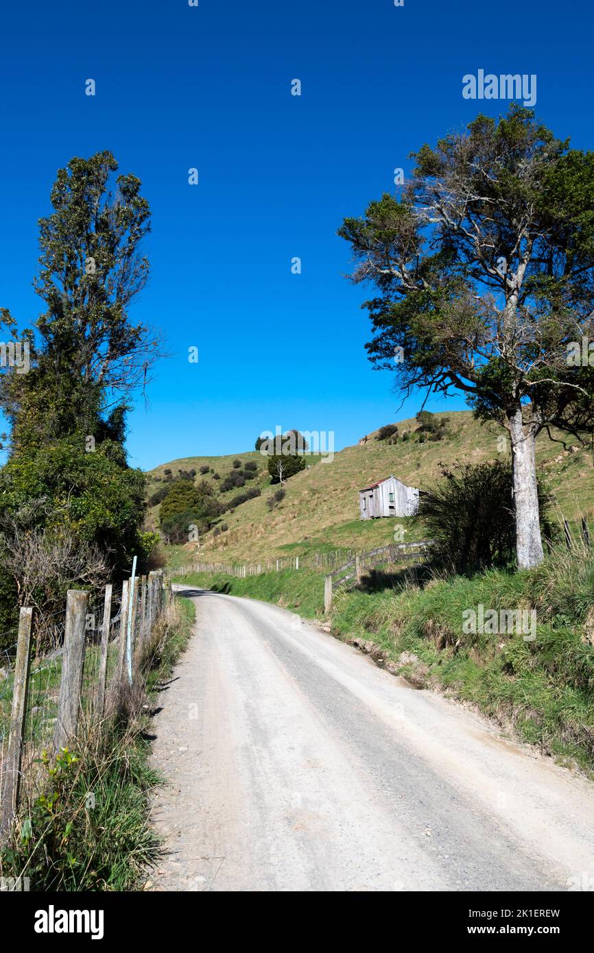 Pohangina Valley, Manawatu, Isla del Norte, Nueva Zelanda Foto de stock
