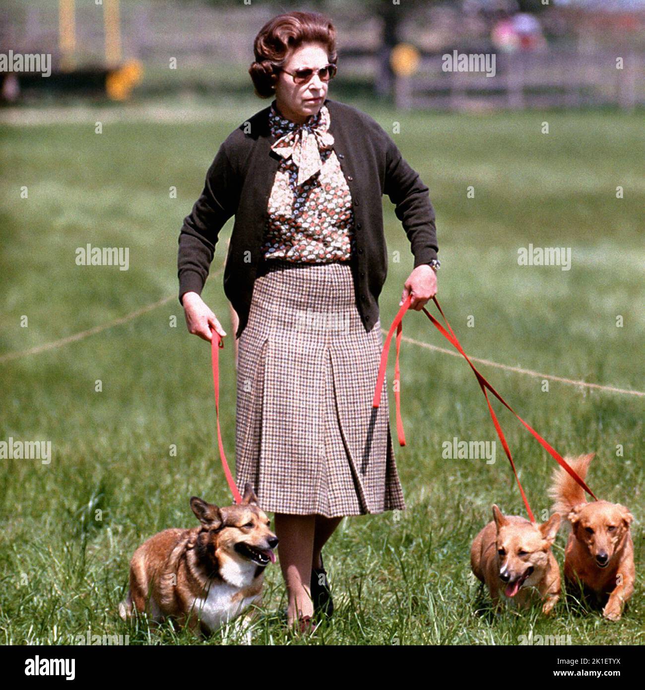 Foto de archivo de fecha 17/05/80 de la Reina Isabel II con algunos de sus Corgis caminando por el campo de Cross Country durante el segundo día de los ensayos de Windsor Horse. Fecha de emisión: Domingo 18 de Septiembre de 2022.. El crédito de la foto debe decir: PA Wire Foto de stock