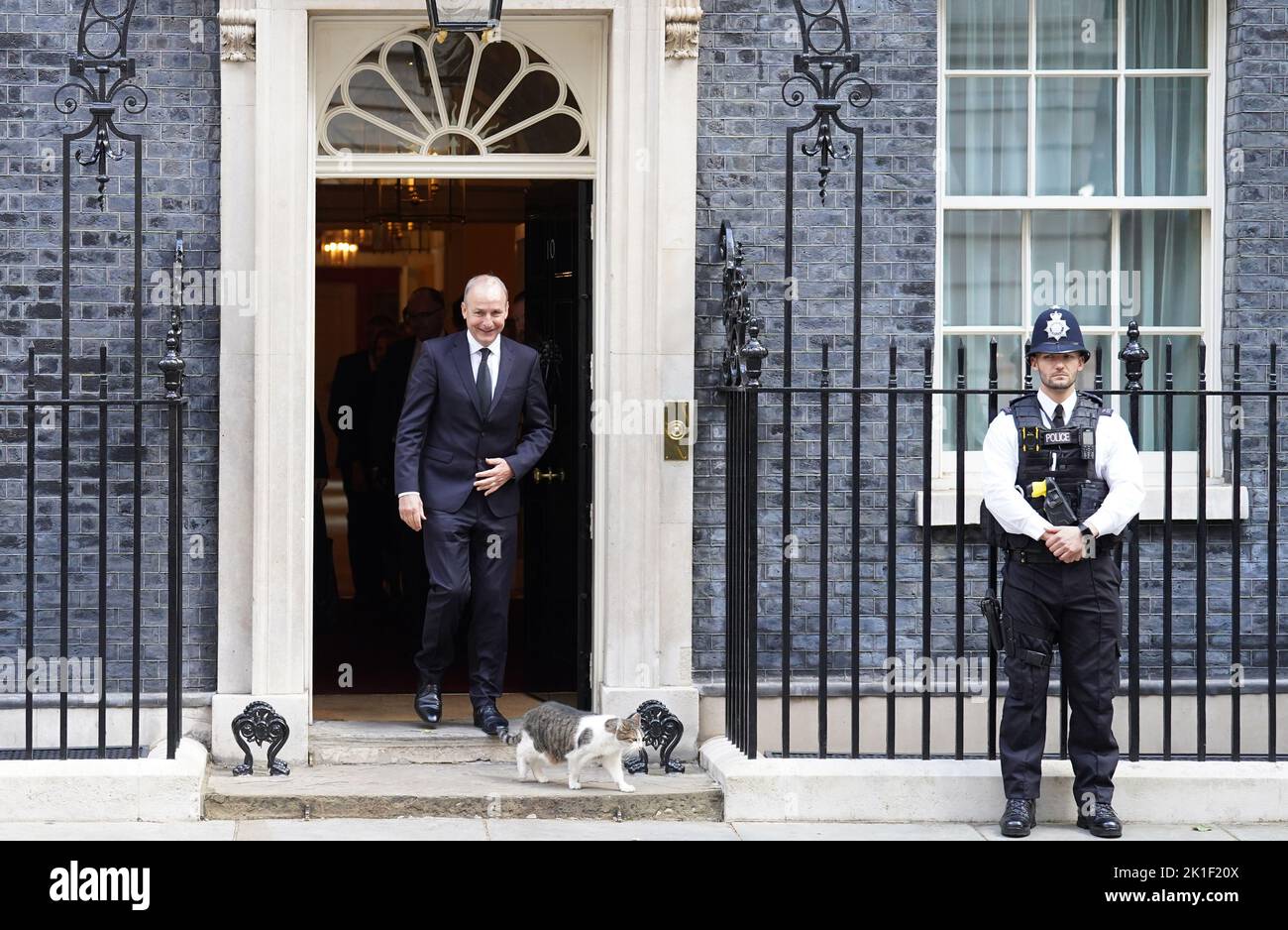 El Taoiseach Irlandés Micheal Martin trata de acariciar a Larry el gato al salir de 10 Downing Street en Londres, después de una reunión bilateral con el Primer Ministro Liz Truss en . Fecha de la foto: Domingo 18 de septiembre de 2022. Foto de stock
