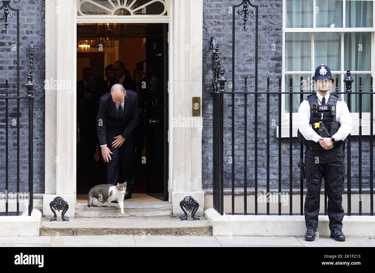 El Taoiseach Irlandés Micheal Martin trata de acariciar a Larry el gato al salir de 10 Downing Street en Londres, después de una reunión bilateral con el Primer Ministro Liz Truss en . Fecha de la foto: Domingo 18 de septiembre de 2022. Foto de stock