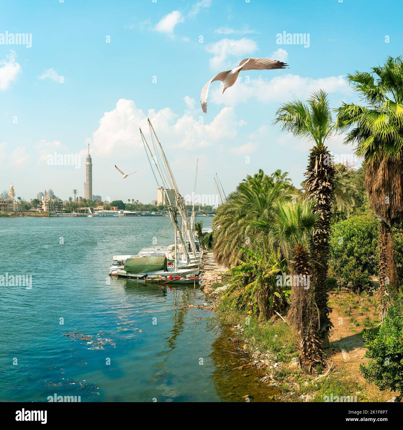 El Nilo y El Cairo panorama por día. Egipto Foto de stock