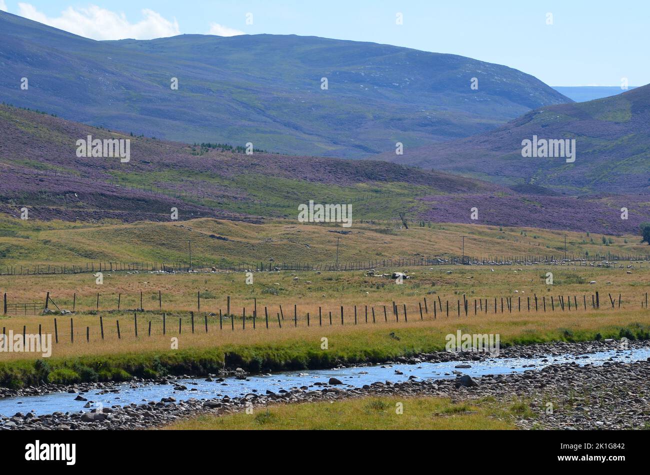 Glen Clunie cerca de Braemar, el parque nacional Cairngorms, Escocia Foto de stock