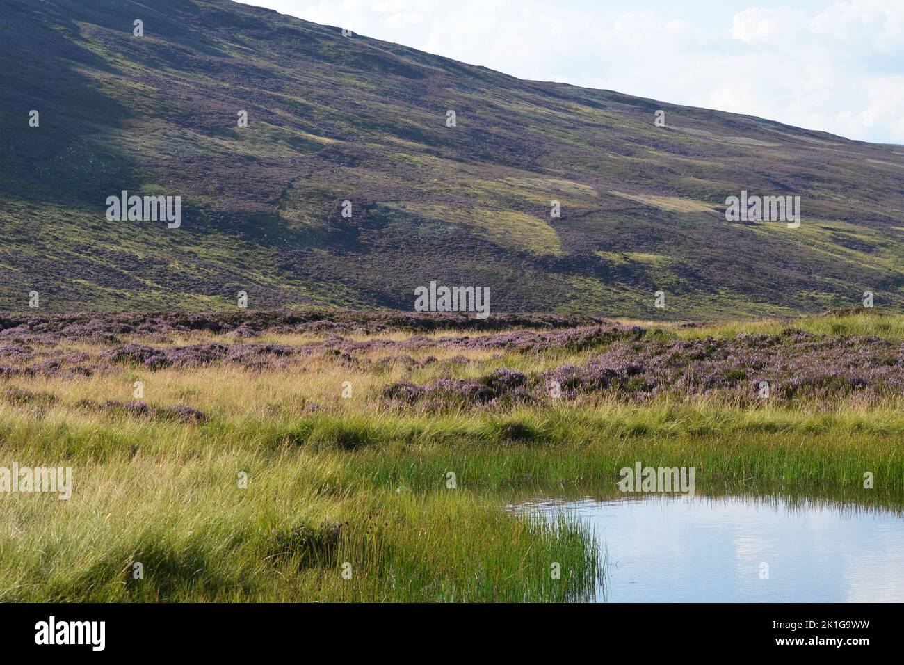 Un pequeño estanque en Glen Callater, el parque nacional Cairngorms, Escocia Foto de stock