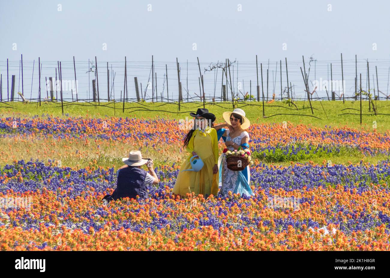 Turistas, fotógrafos y campos de flores silvestres de Texas en abril cerca de Whitehall, Texas. Foto de stock