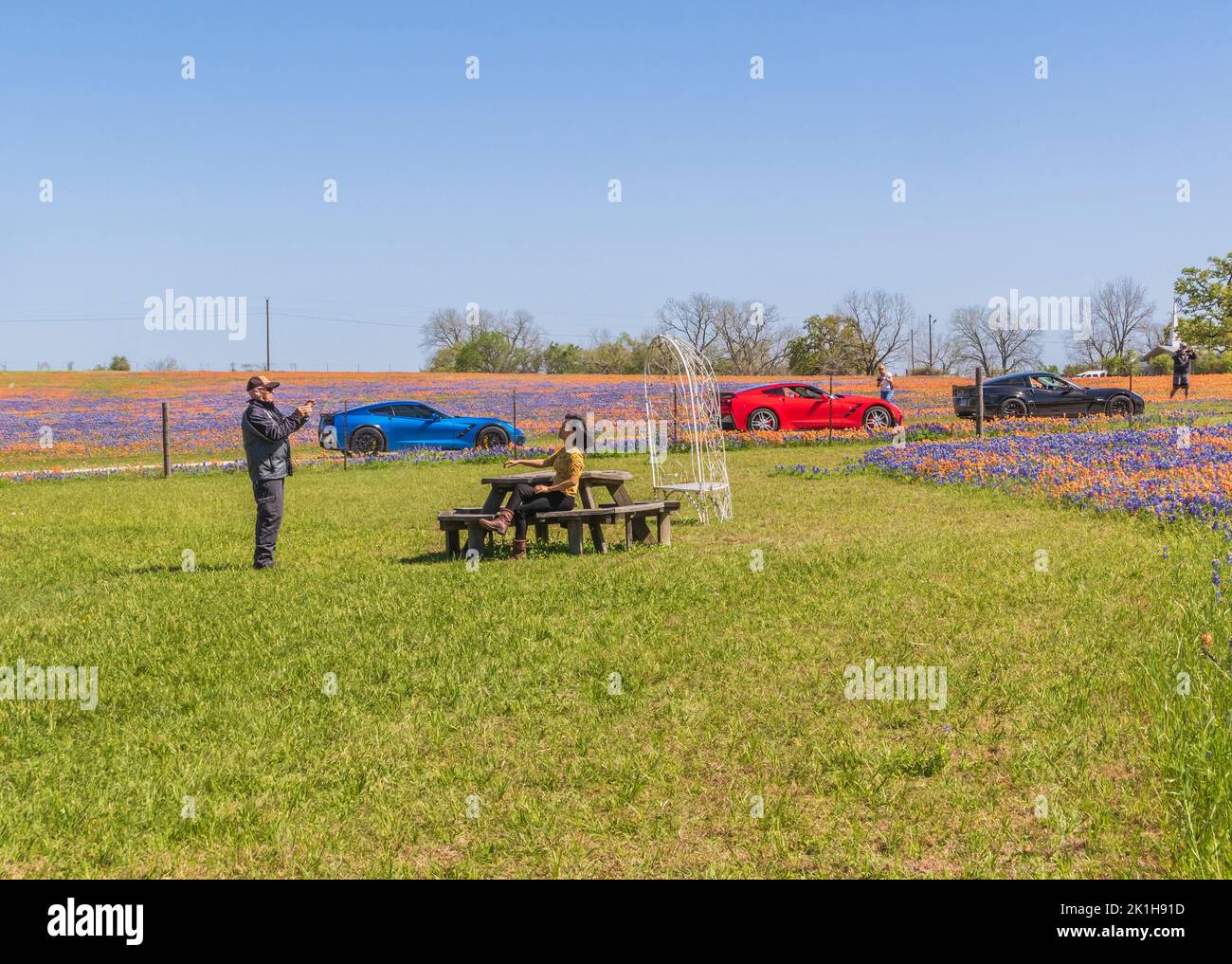 Turistas y campos de flores silvestres de Texas en abril cerca de Whitehall, Texas. Foto de stock