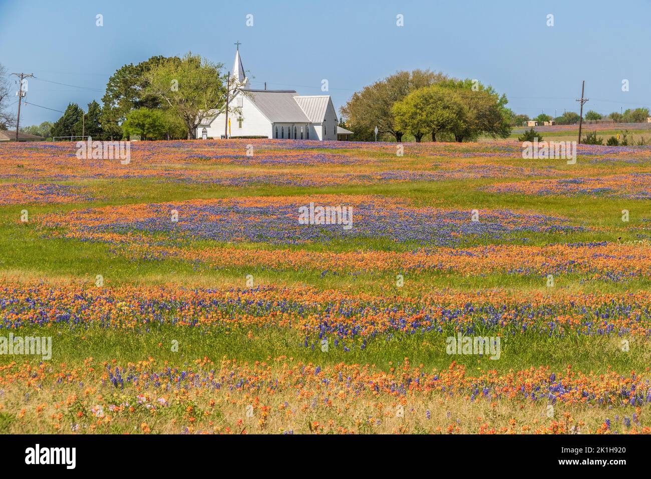 Iglesia Luterana de Salem con Texas Bluebonnets y flores silvestres de Texas Indian Paintbrush en Whitehall, Texas. Foto de stock