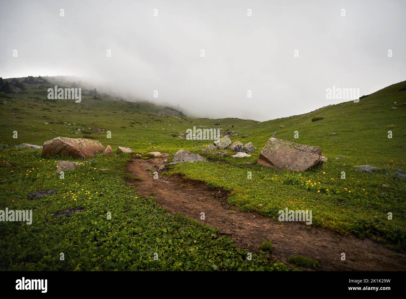 Carretera rural en un hermoso paisaje en las verdes colinas en el valle de montaña y exuberante prado en el cielo oscuro de la tormenta y la lluvia en Almaty, Kazajstán Foto de stock