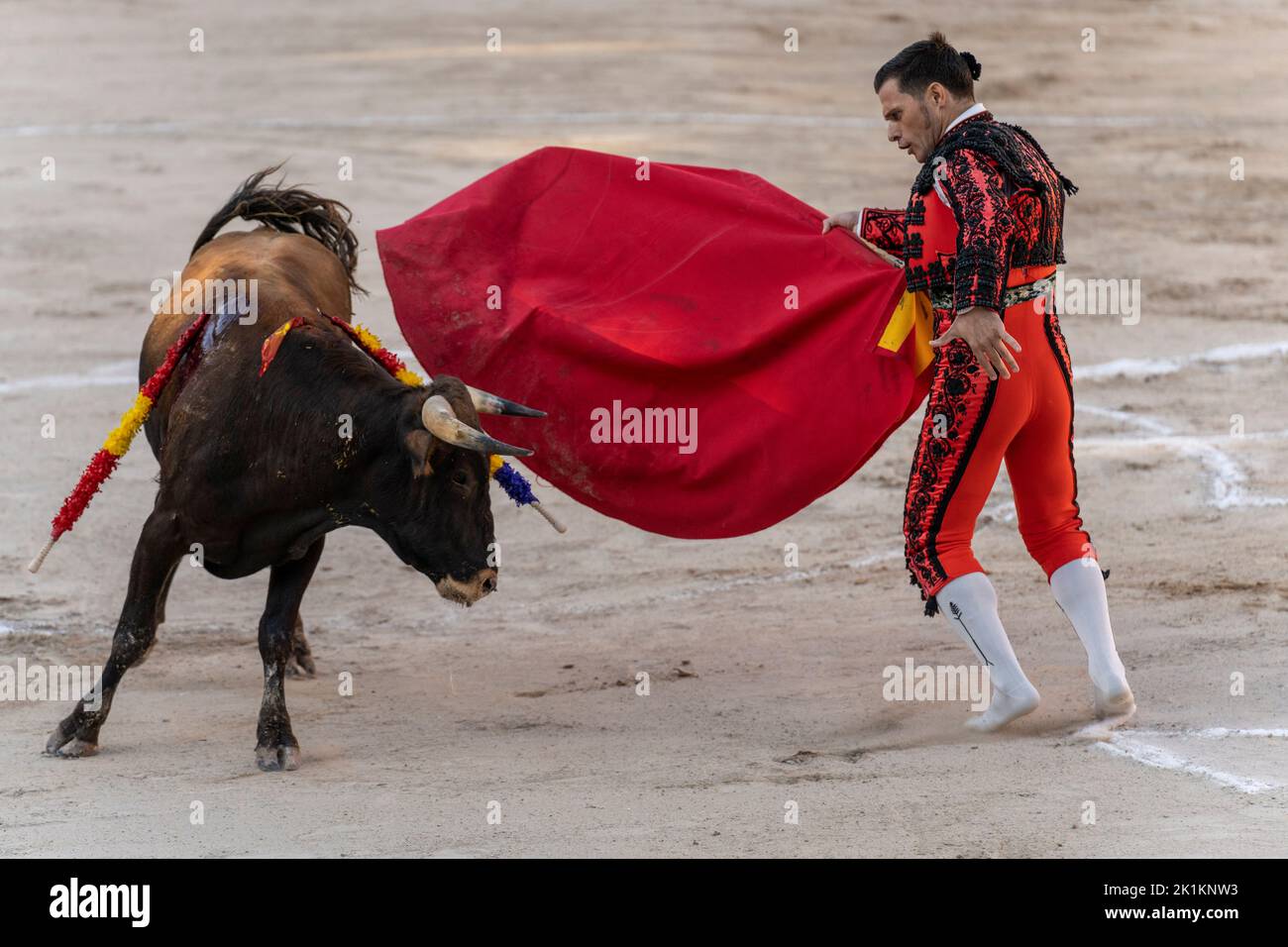 Torero de cortinero, corrida de toros de novillas, Inca, Mallorca, Islas Baleares, España Foto de stock