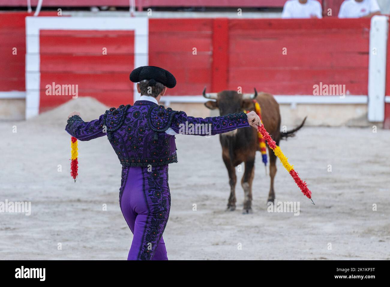 Torero de cortinero, corrida de toros de novillas, Inca, Mallorca, Islas Baleares, España Foto de stock