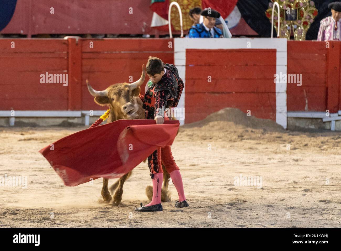 Torero de cortinero, corrida de toros de novillas, Inca, Mallorca, Islas Baleares, España Foto de stock