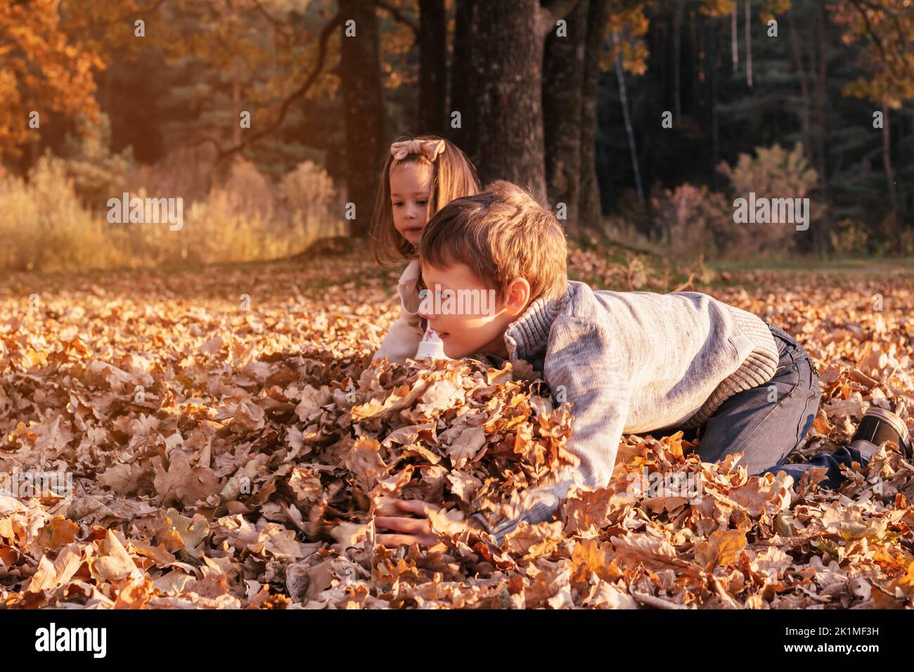 Niña de 3-4 años y niño de 9-10 años cuclillas en otoño al aire libre en el parque en rayos de puesta de sol y recoger grandes armaduras de hojas de roble Foto de stock
