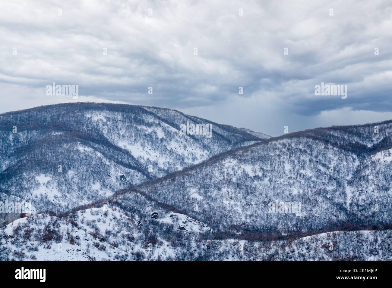 Una vista aérea de los árboles en el bosque y las montañas con nieve cubierta. Fotografía de alta calidad Foto de stock