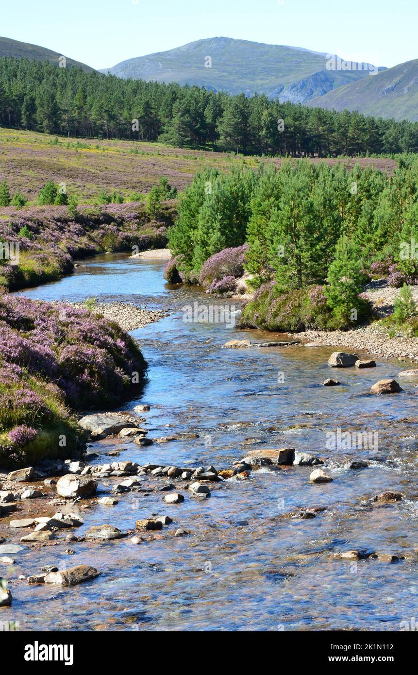 Lui Water a lo largo del circuito Clais Fhearnaig cerca de Braemar, Parque Nacional Cairngorms, Escocia Foto de stock
