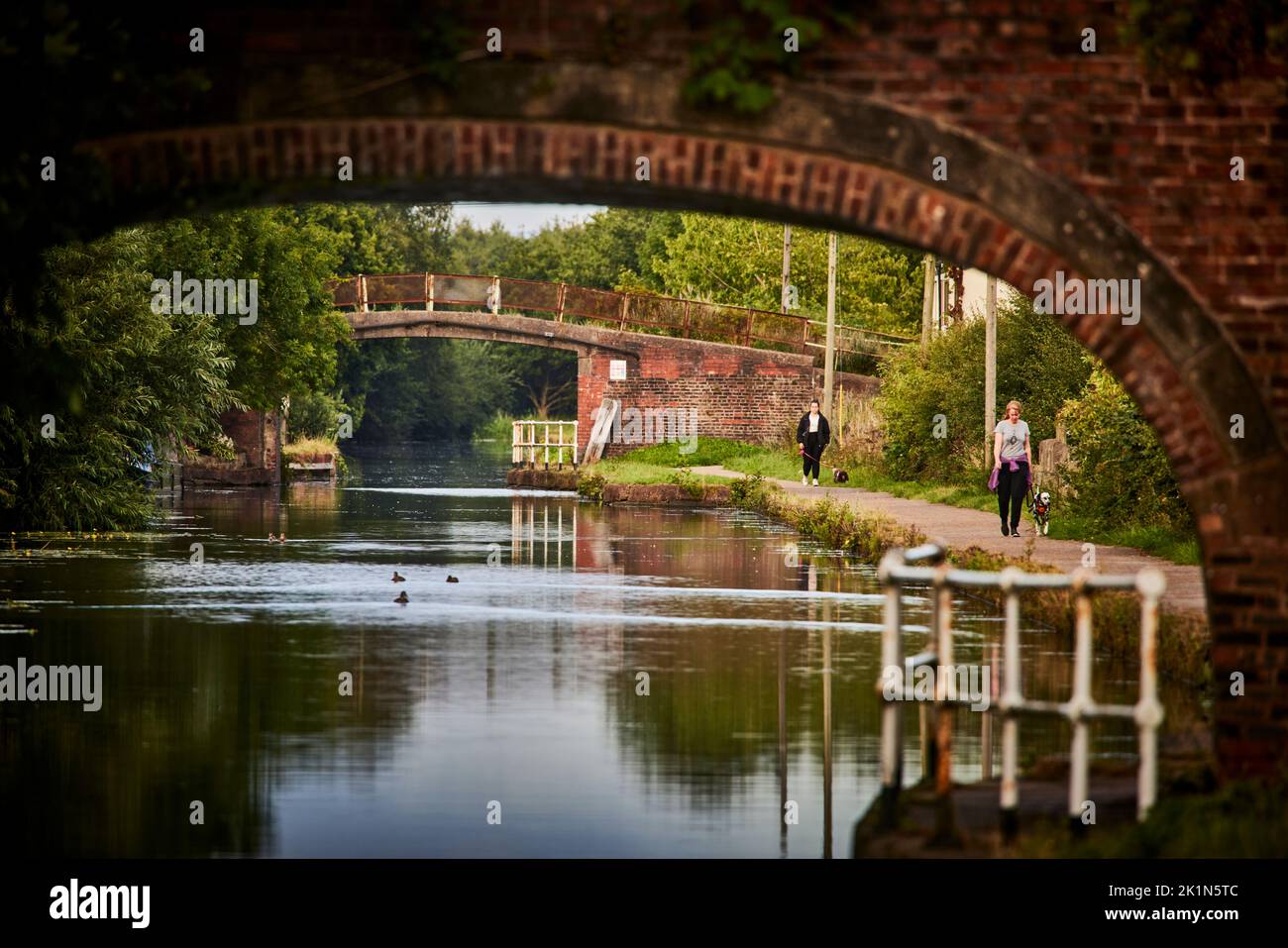 Canal Bridgewater en Astley, GTR Manchester Foto de stock
