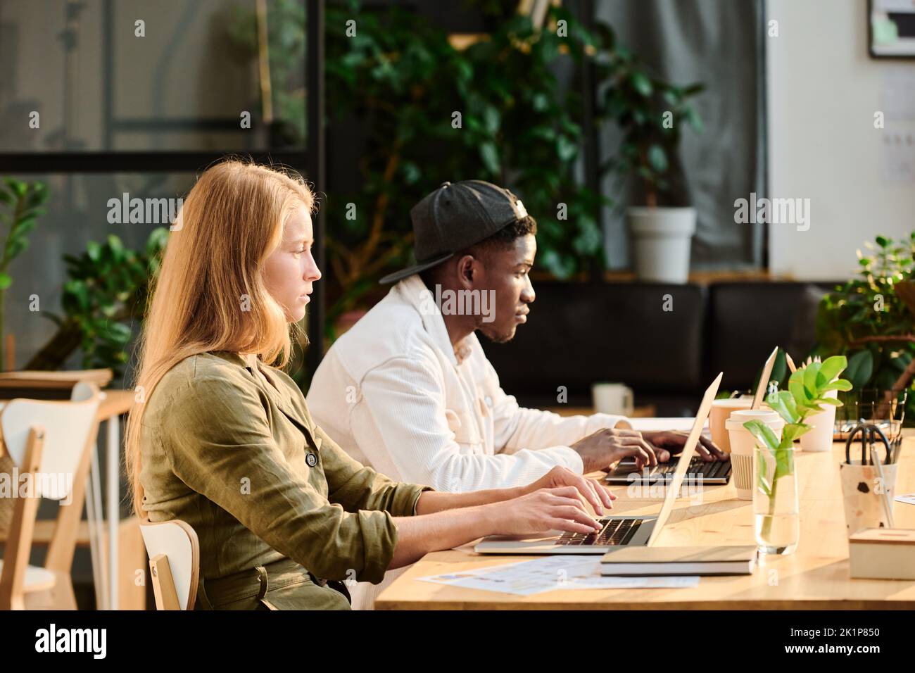 Vista lateral de dos jóvenes diseñadores interculturales o analistas que trabajan en red por escritorio delante de las pantallas de los ordenadores portátiles en la oficina openspace con plantas verdes Foto de stock