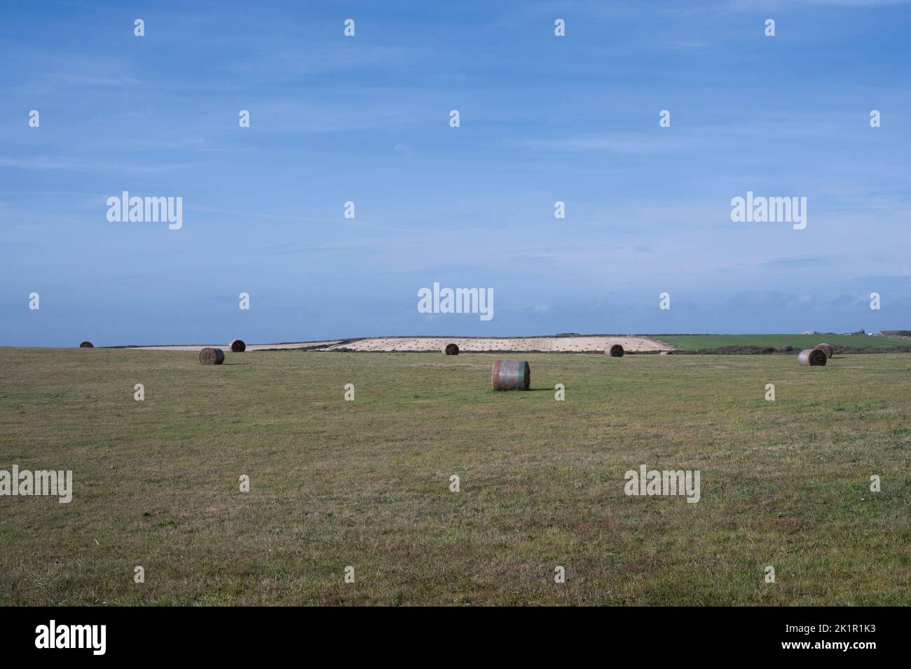 Gales, Pembrokeshire. Fardos de heno en un campo en la cima de un acantilado. Foto de stock