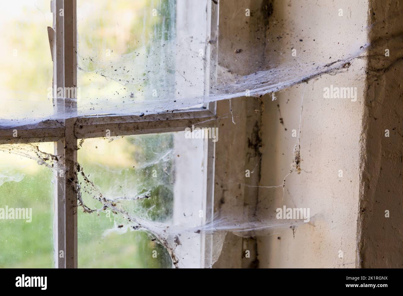 Primer plano de antiguas telarañas en una ventana de un edificio abandonado Foto de stock