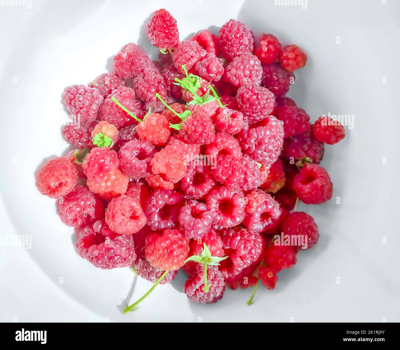 Frambuesas frescas enteras sobre un plato blanco, desde arriba. Fruta fresca, madura, roja y dulce de Rubus idaeus, la frambuesa cultivada europea. Foto de stock