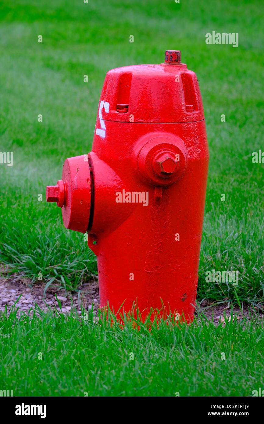 Detalle de hidrante rojo en césped verde en el barrio para la seguridad pública Foto de stock