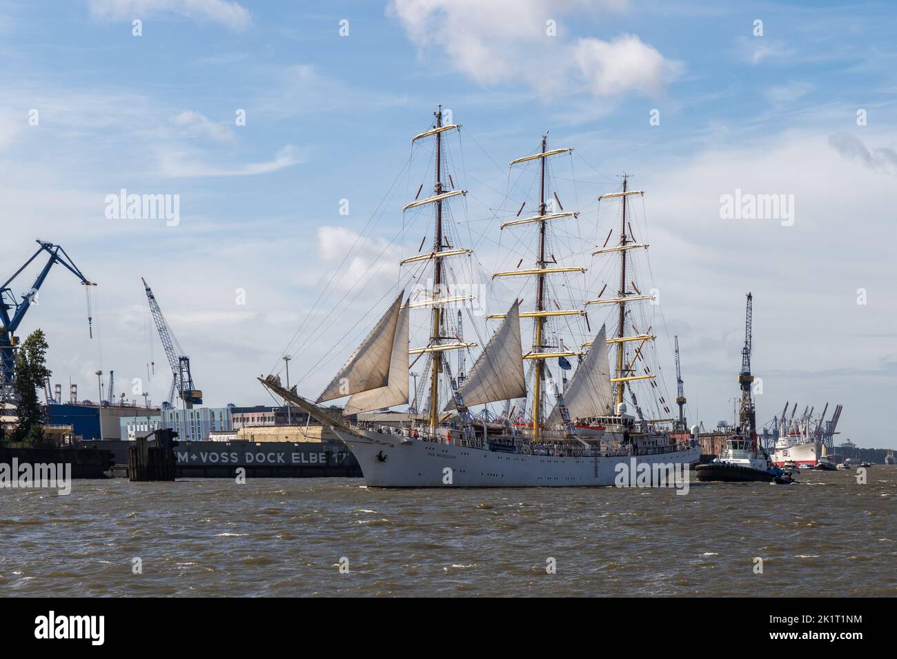 Sailingship Dar Mlodziezy de Polen, Hamburgo, Hafen, Puerto, 833. Hafengeburtstag, Aniversario, Schiffe, Barco, Elba, Wasser, Fluss, Río, Foto de stock