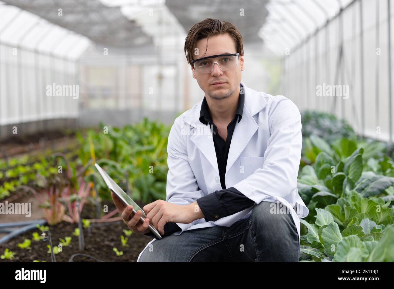 retrato agricultura hombre científico trabajando la investigación de la planta en bio granja laboratorio.biólogo estudio la recolección de datos con computadora portátil. Foto de stock