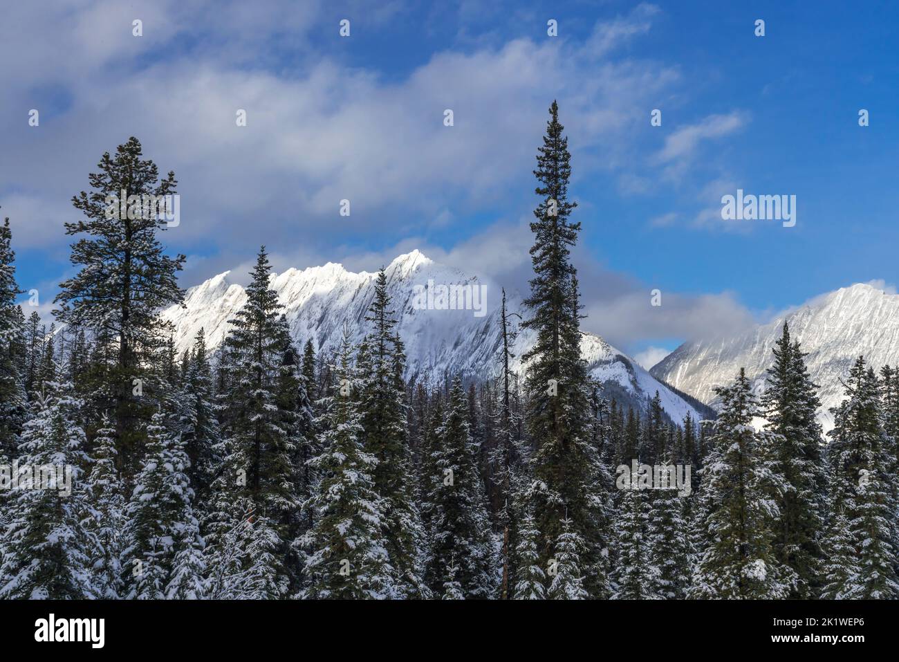 Un paisaje de montaña y bosque a lo largo de la carretera del Lago Maligne en invierno, el Parque Nacional Jasper, Alberta, Canadá. Foto de stock