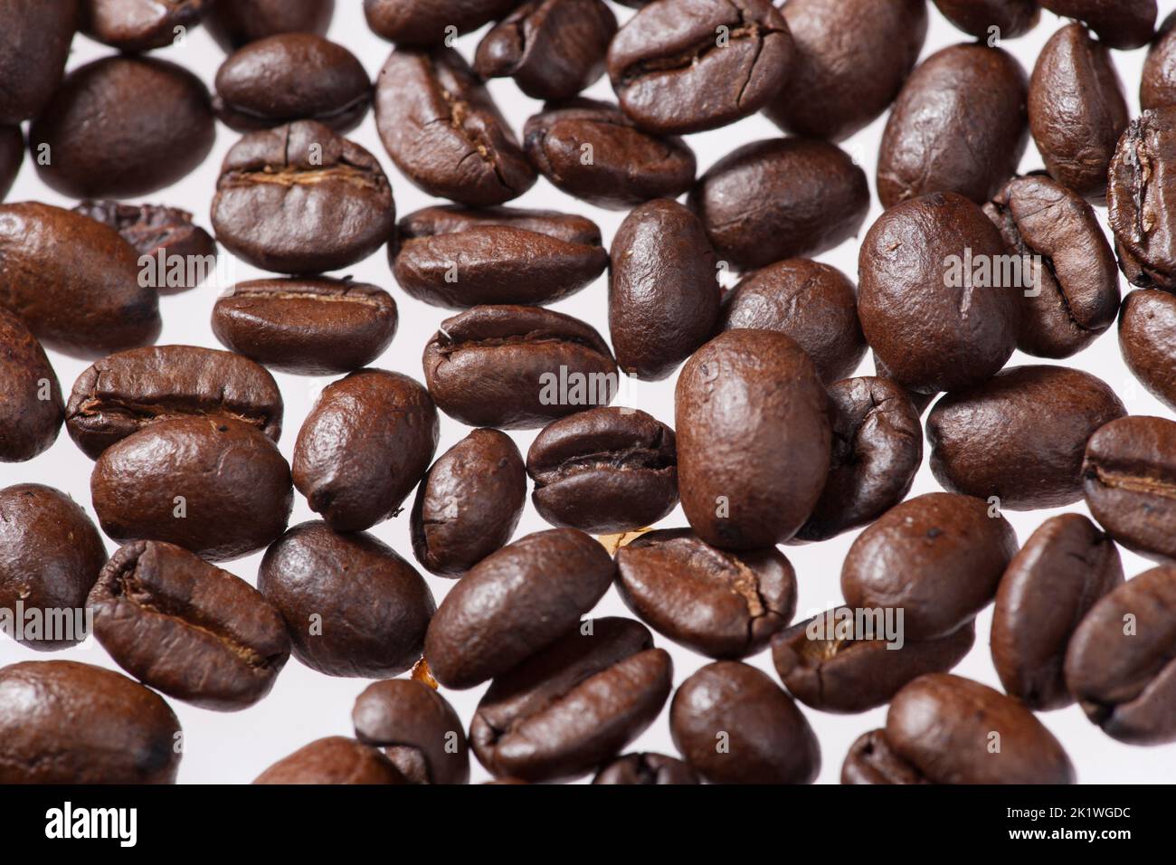 Café arábigo, Arabiskt kaffe (Coffea arabica) Foto de stock