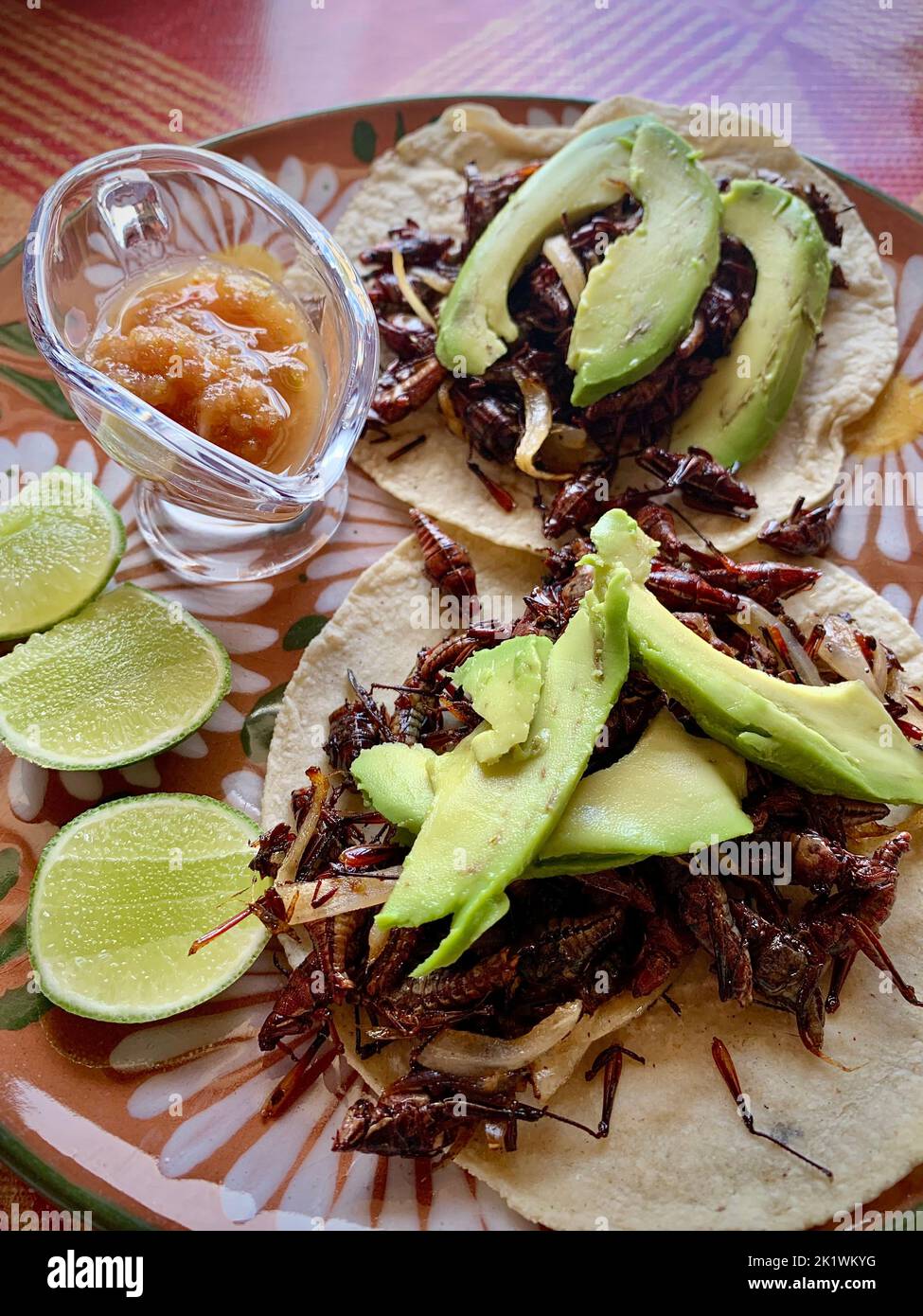Tacos blandos con grillos y aguacates, Oaxaca, México Foto de stock