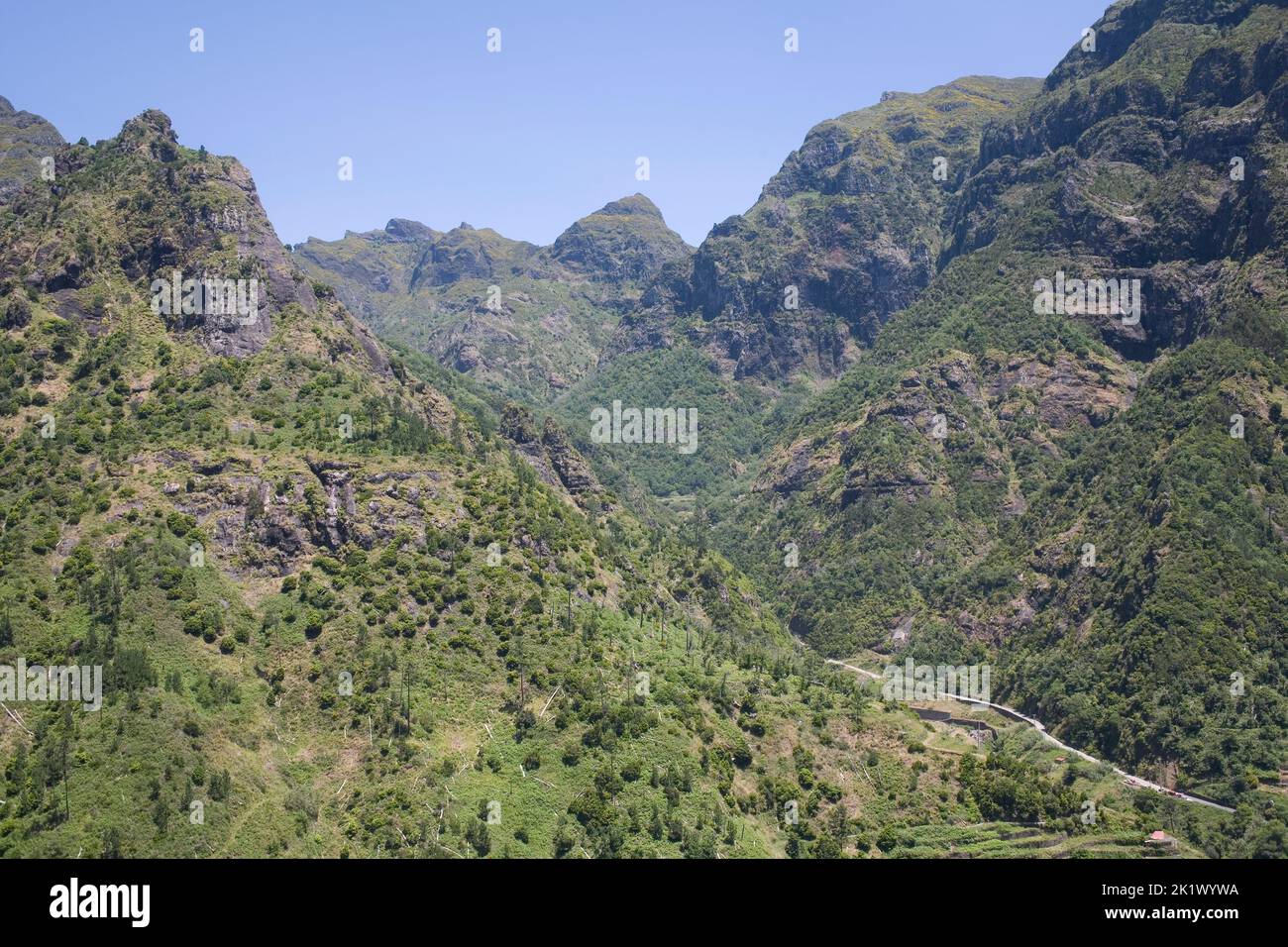 Empinada ladera verde vista desde el mirador de Encumeada en el centro de Madeira Foto de stock