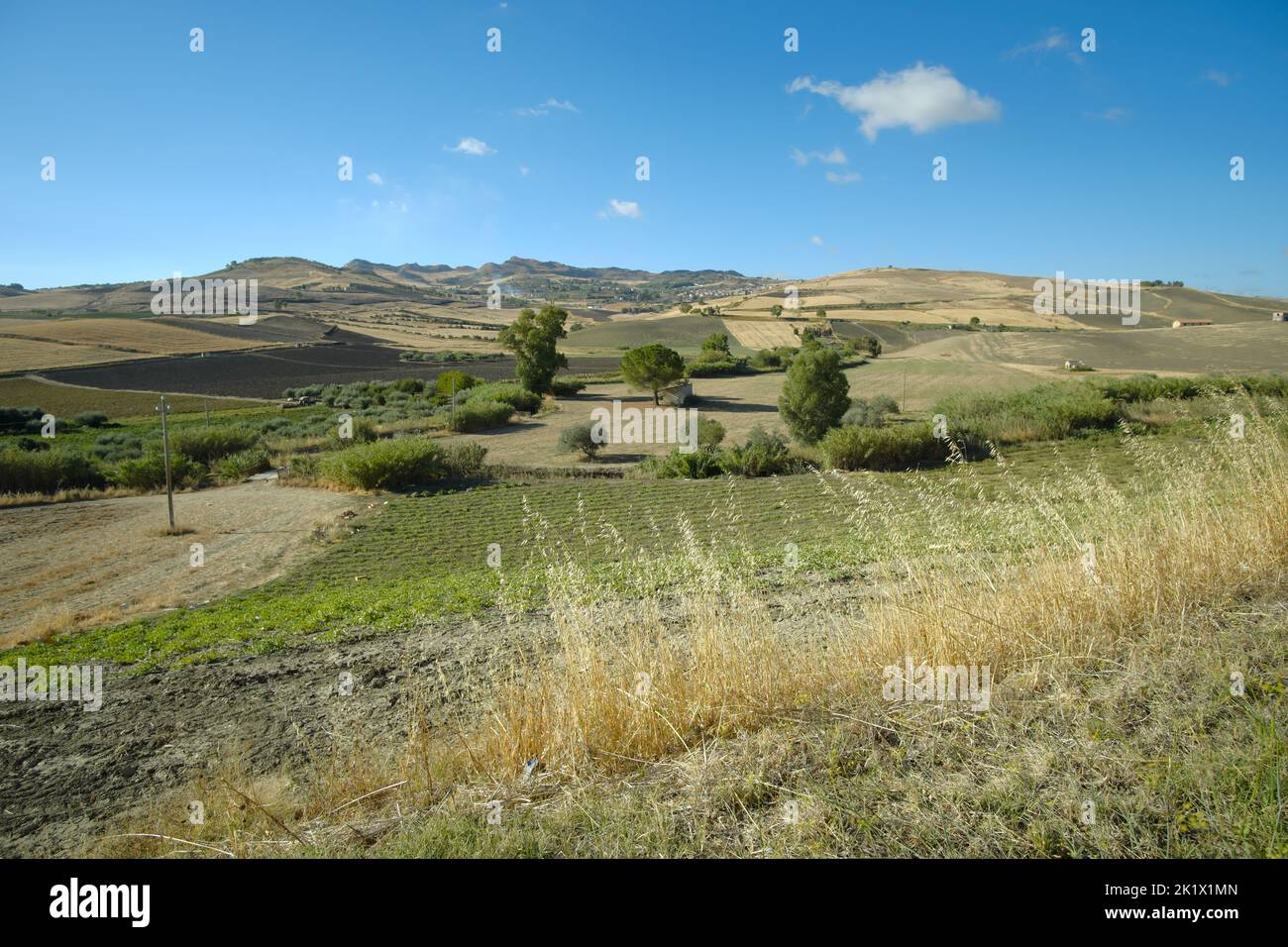 Los árboles en el campo y la granja en el paisaje de Sicilia Foto de stock