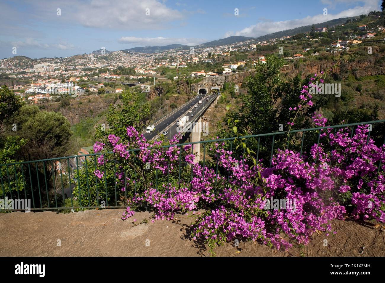 Mirador en jardines botánicos con flores, carretera VR1 y el norte de Funchal Madeira Foto de stock